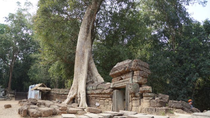 Angkor Wat Ta Prohm