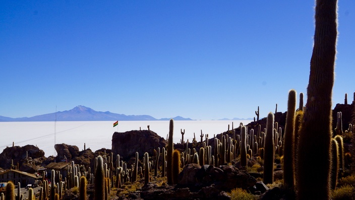 Bolivien Isla Incahuasi