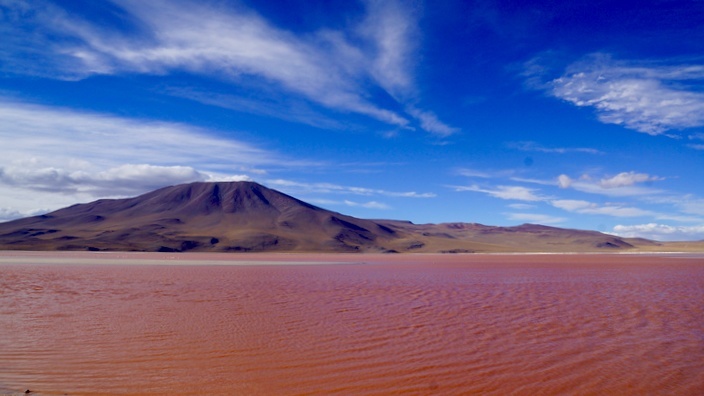 Bolivien Laguna Colorada