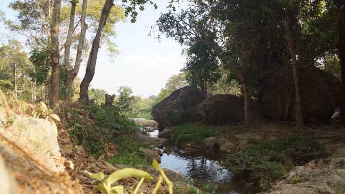 Chiang Mai Nature