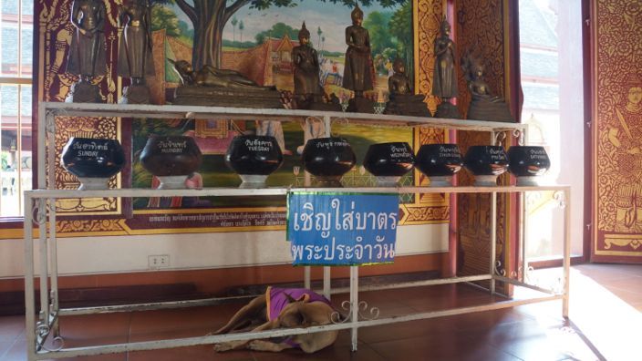 Chiang Mai Temple Wat