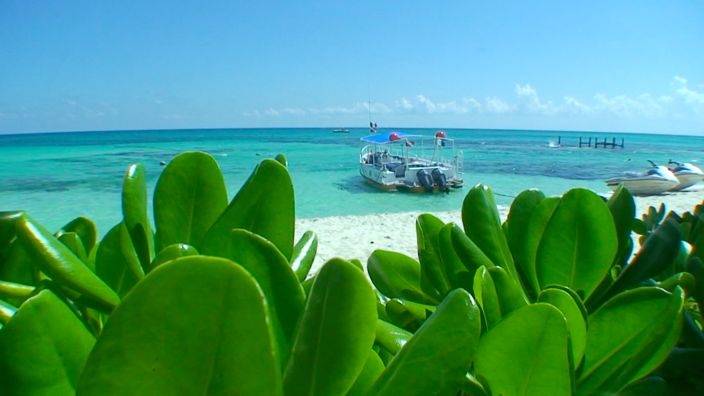 Scubadiving Mexico PADI