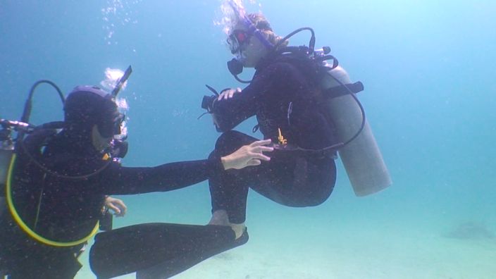 Scubadiving Mexico Riviera Maya