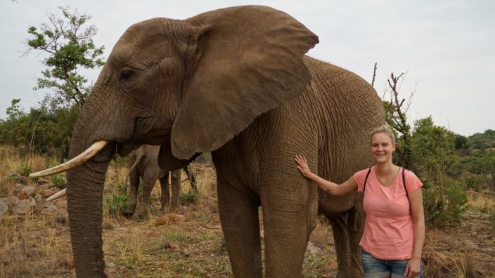 Glen Afric Elephant Walk Johannesburg