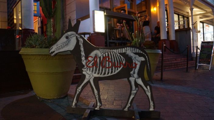 El Burro Cape Town