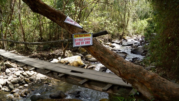 Fluss Valle de Cocora Salento