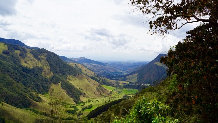 Ausblick La Montaña Valle de Cocora Salento