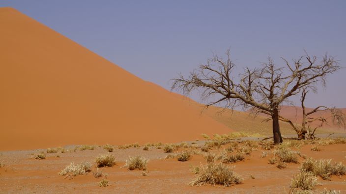 Namibia Sossusvlei Big Daddy