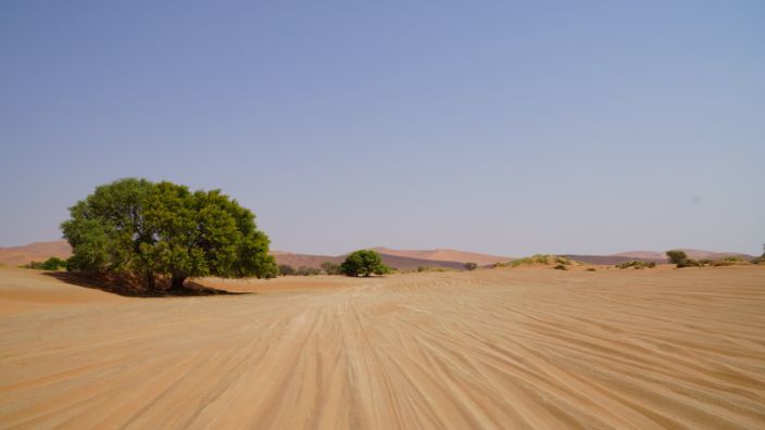 Namibia Sossusvlei 