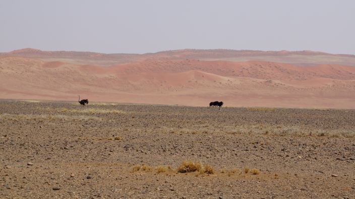 Namibia Sossusvlei