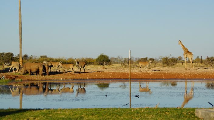 Namibia Mariental Lapa Lange Game Lodge