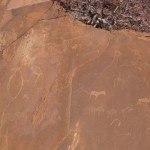 Namibia Twyfelfontein engravings