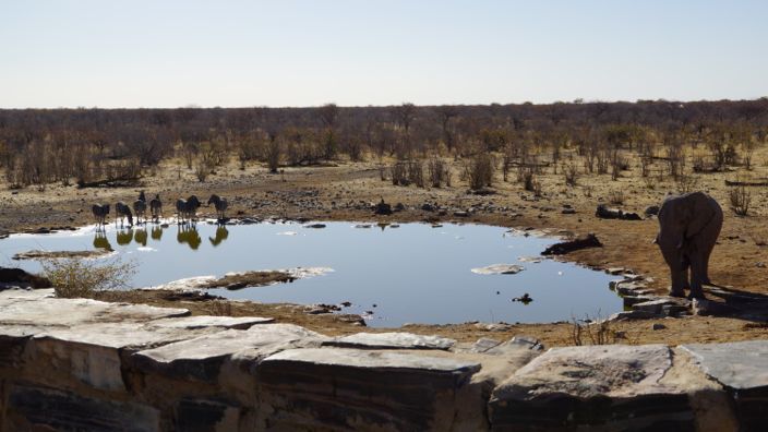 Namibia Etosha National Park waterhole