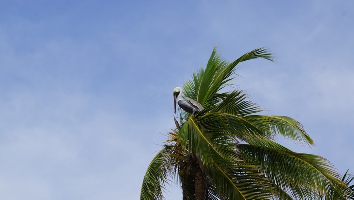 San Blas, Panama