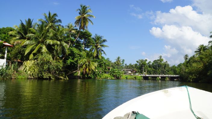 Sri Lanka Madu River