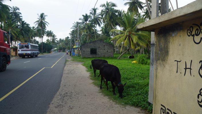 Sri Lanka Bus Stop