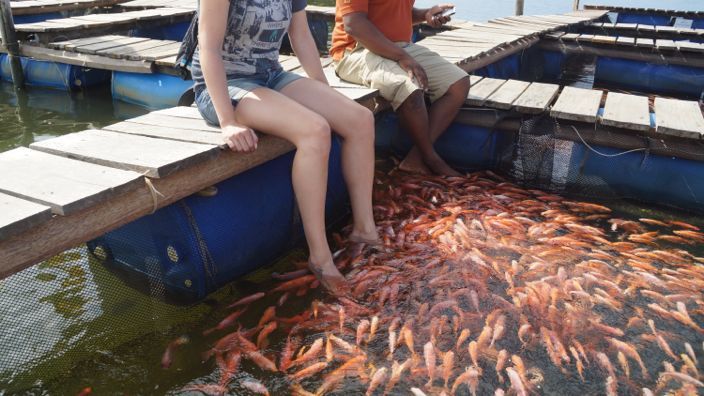 Sri Lanka Fish Spa Madu River