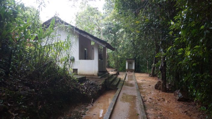 Sri Lanka Temple Rainforest