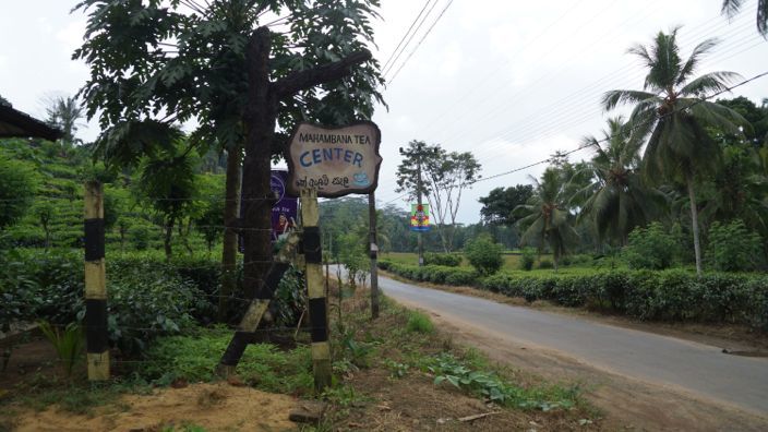 Sri Lanka Tea Factory